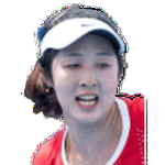 Wushuang Zheng